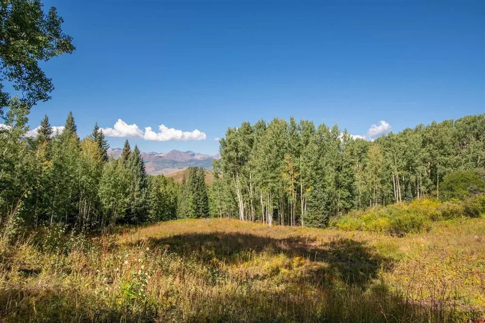 794 Red Mountain Ranch Lower Loop Crested Butte, CO 81224