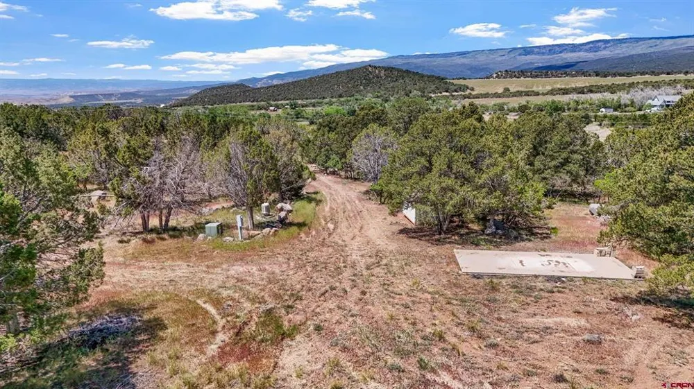 20212 2300 ROAD Cedaredge, CO 81413