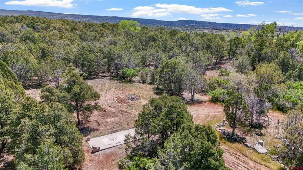 20212 2300 ROAD Cedaredge, CO 81413