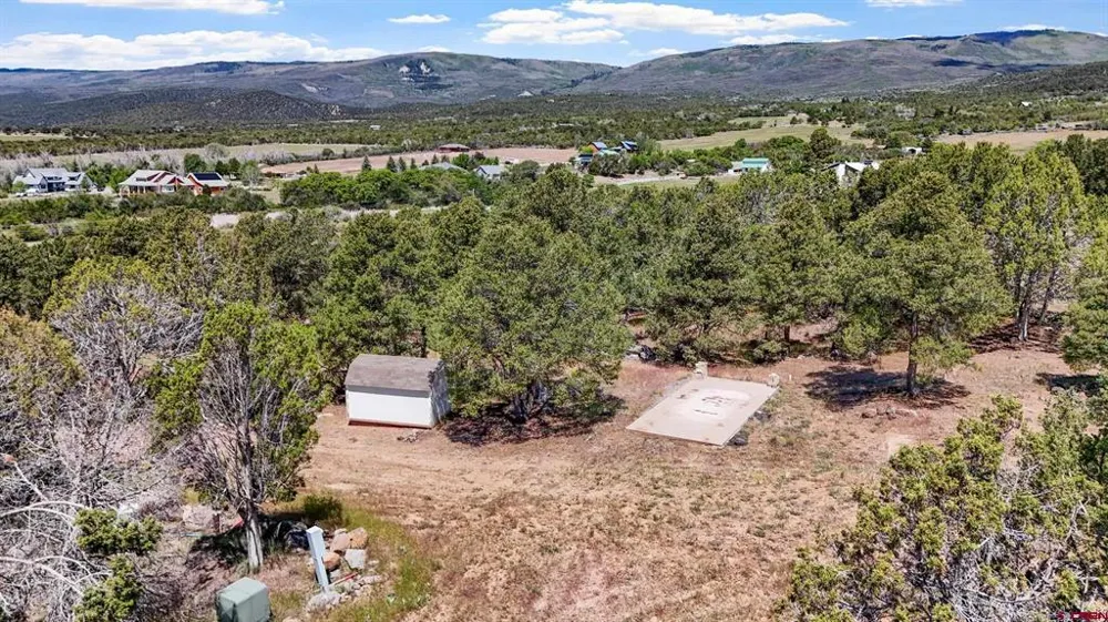 20212 2300 ROAD Cedaredge, CO 81413
