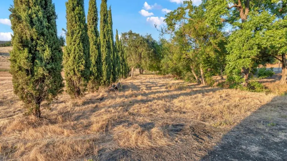 21951 Shillingsburg San Jose, CA 95120