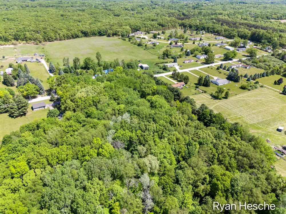 8775 Peck Lake Road Boston Township, MI 48881
