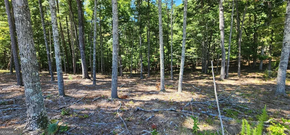 51 Ridge DR Morganton, GA 30560