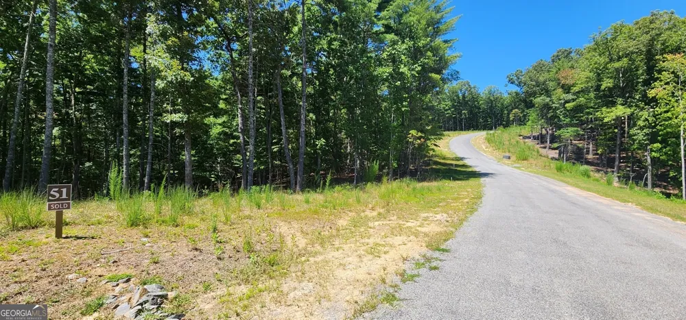 51 Ridge DR Morganton, GA 30560