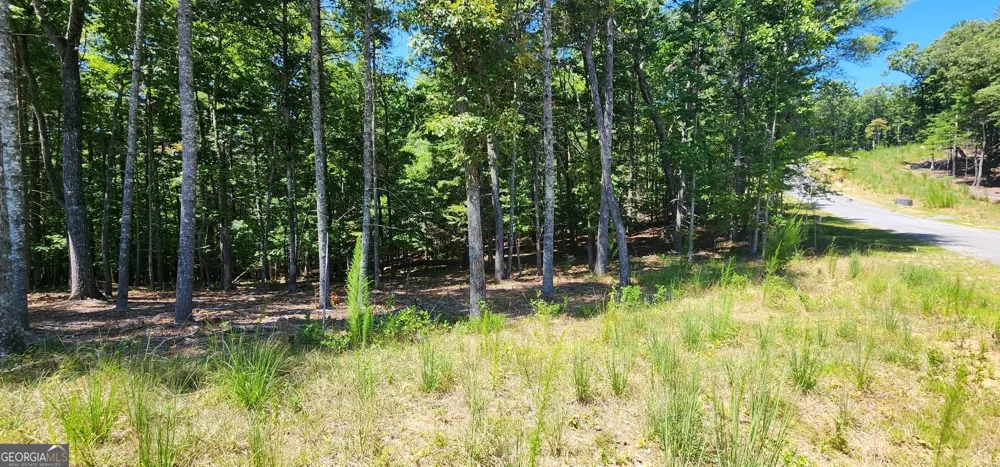 51 Ridge DR Morganton, GA 30560