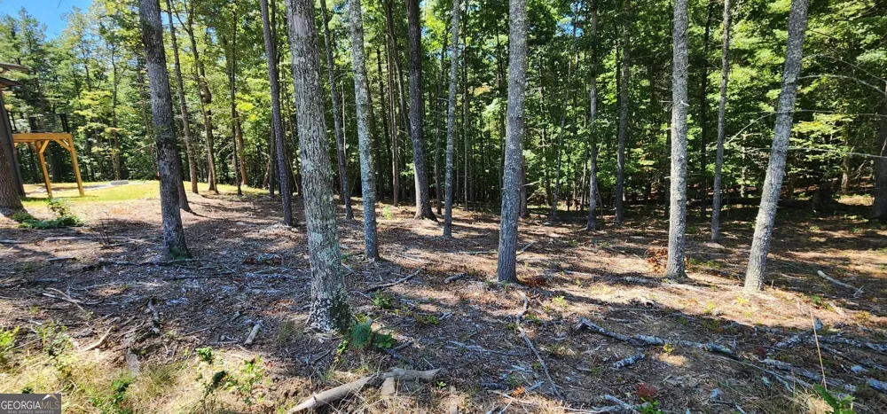 51 Ridge DR Morganton, GA 30560
