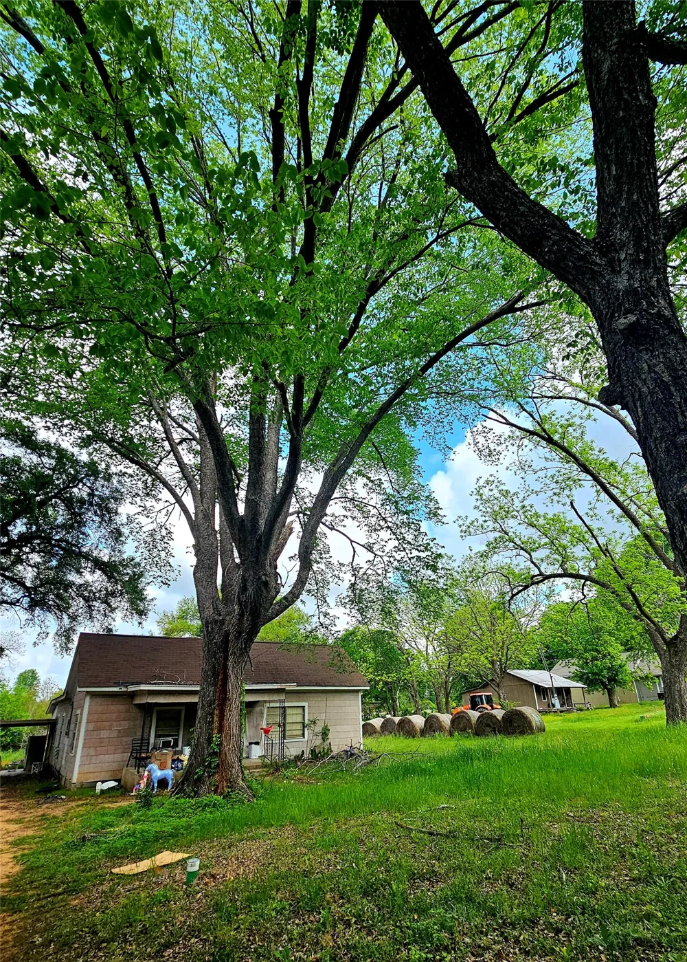 200 Jay Street Trinidad, TX 75163