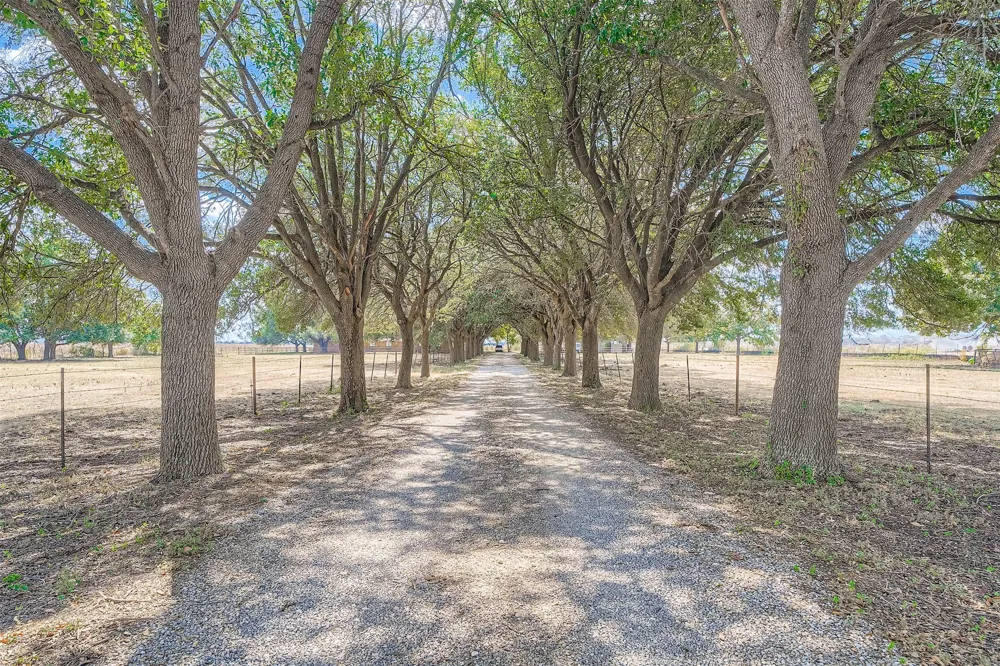 10026 Fm 1660 Hutto, TX 78634