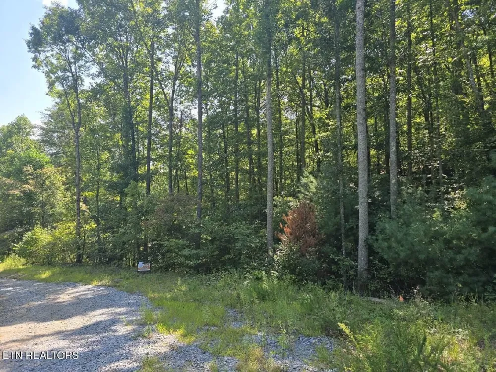 0 Red Rooster Way Sevierville, TN 37876