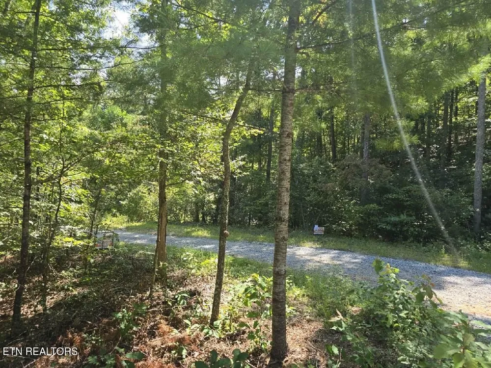 0 Red Rooster Way Sevierville, TN 37876