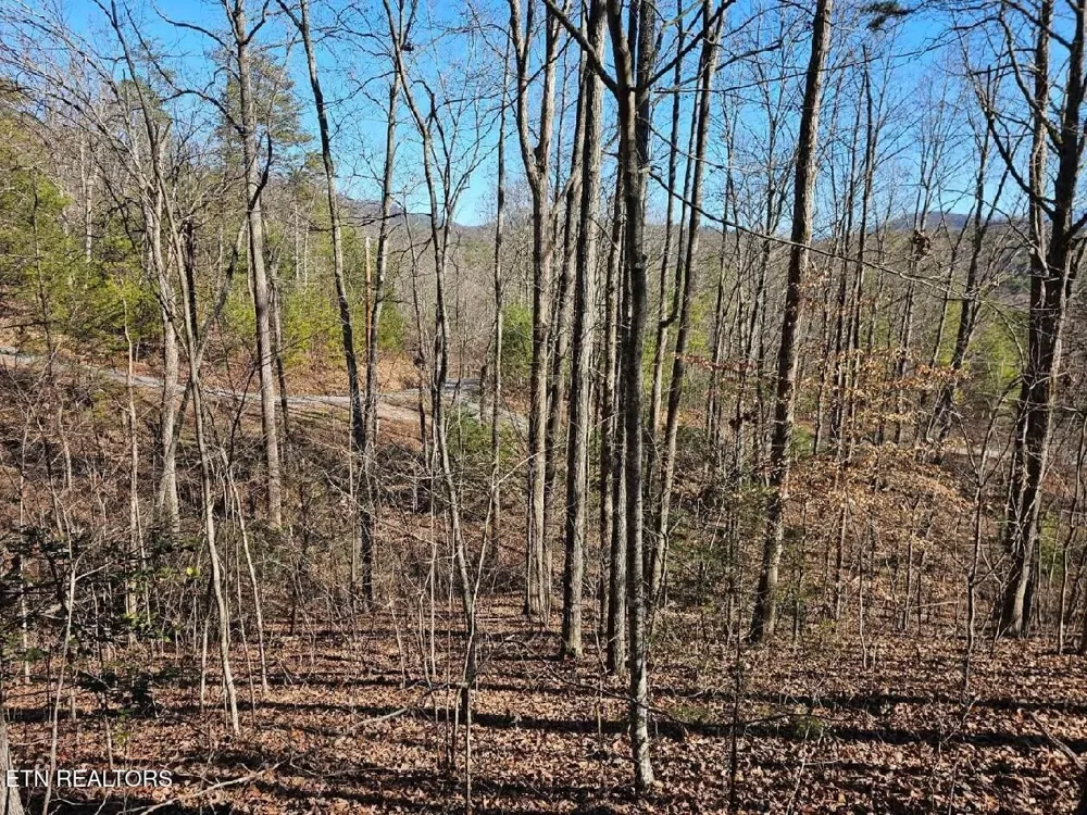 0 Red Rooster Way Sevierville, TN 37876