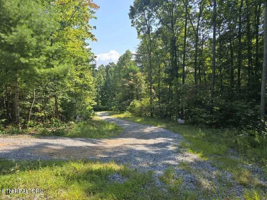 0 Red Rooster Way Sevierville, TN 37876