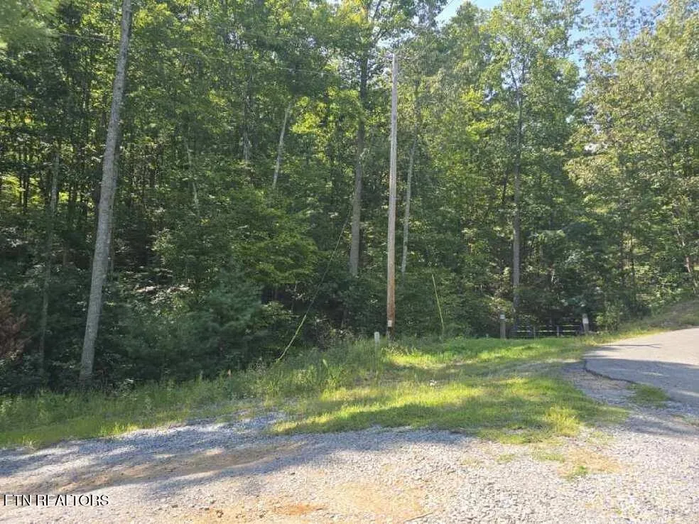 0 Red Rooster Way Sevierville, TN 37876