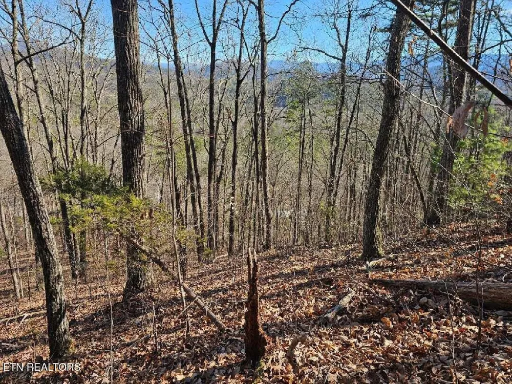 0 Red Rooster Way Sevierville, TN 37876