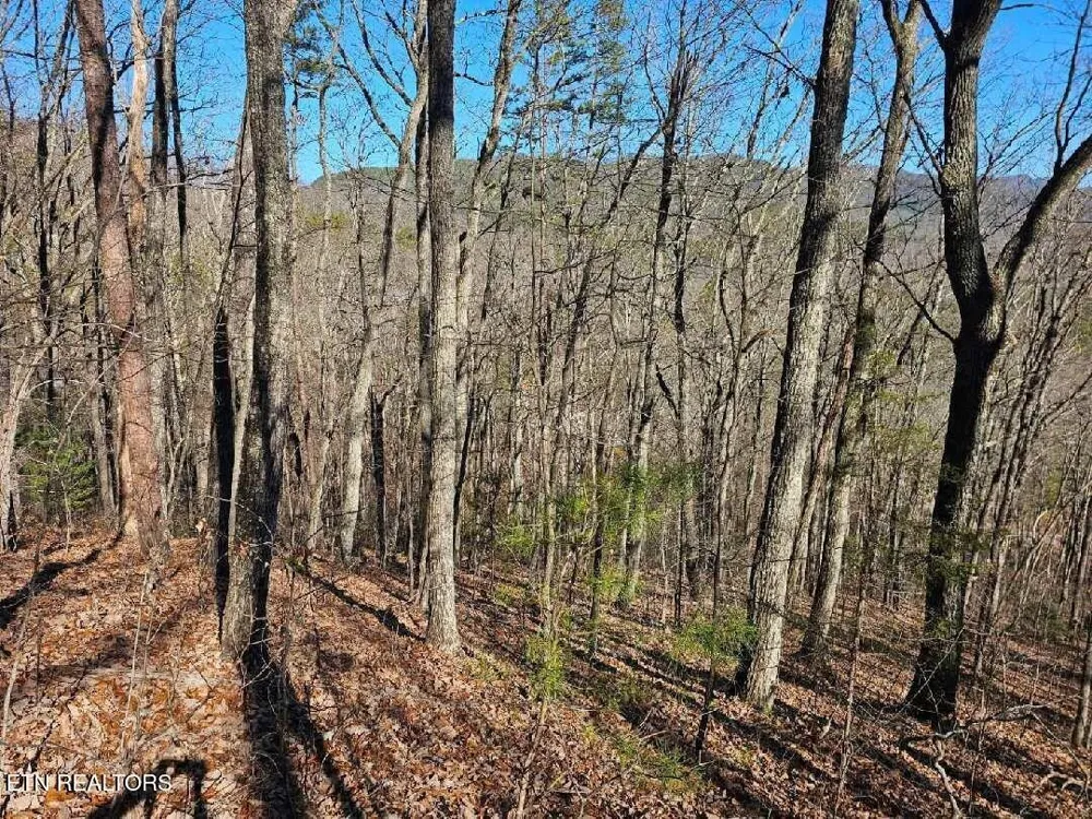 0 Red Rooster Way Sevierville, TN 37876