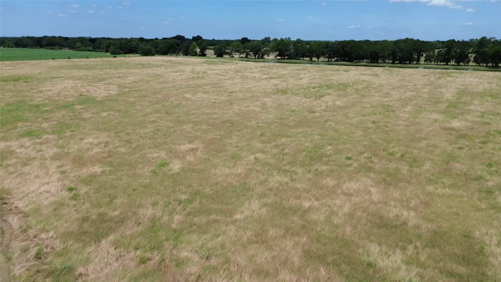 15901 County Road 1030 Blue Ridge, TX 75424