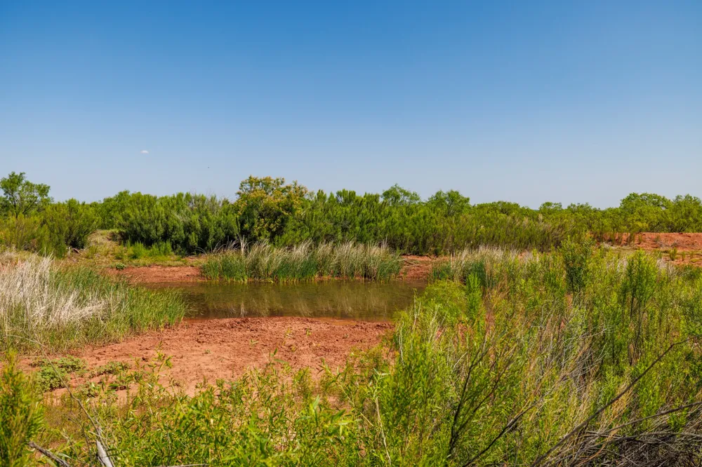 County Rd 161 Trent, TX 79561