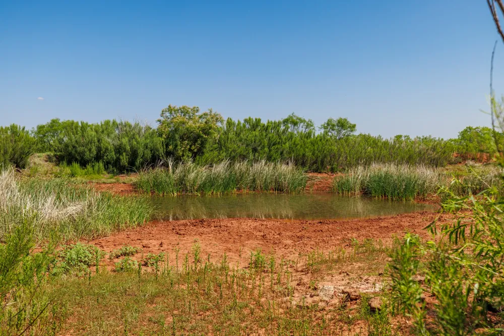 County Rd 161 Trent, TX 79561