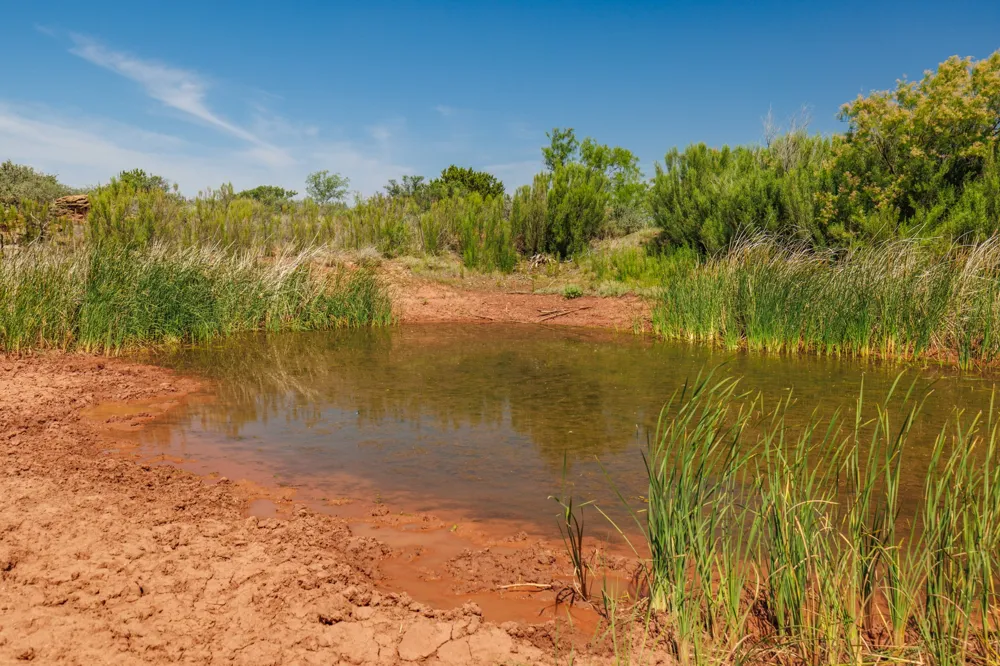 County Rd 161 Trent, TX 79561