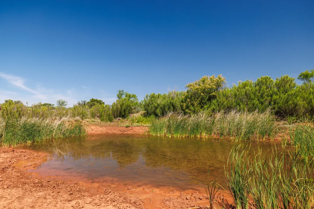 County Rd 161 Trent, TX 79561