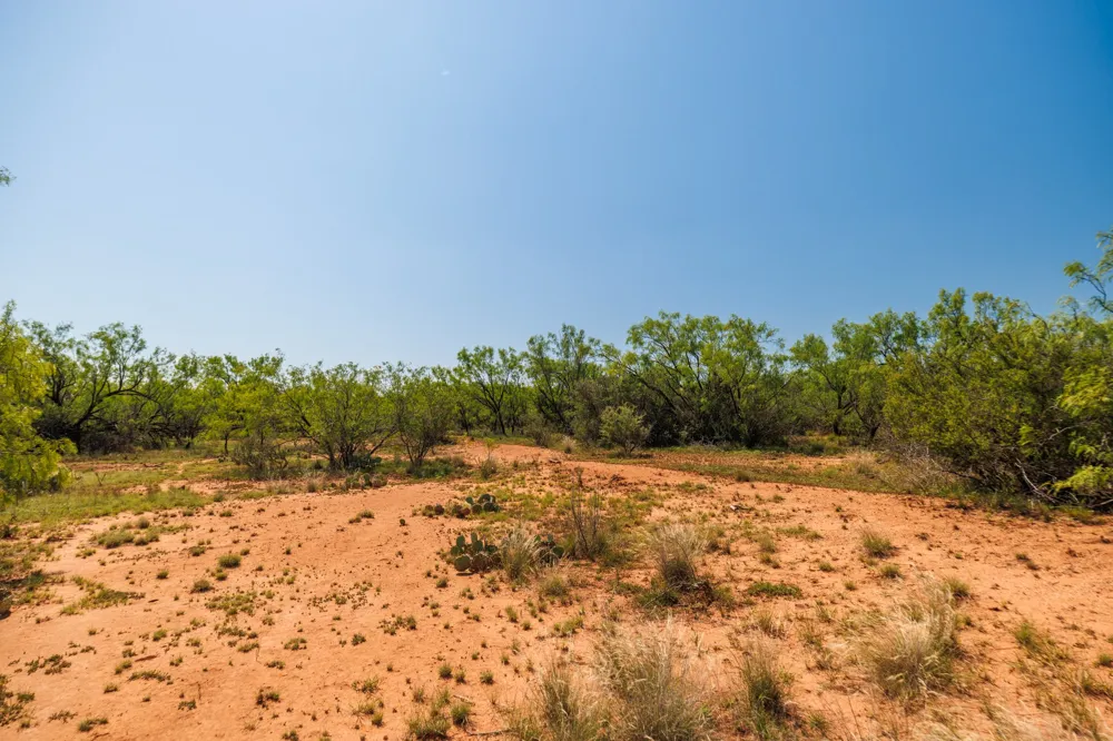 County Rd 161 Trent, TX 79561