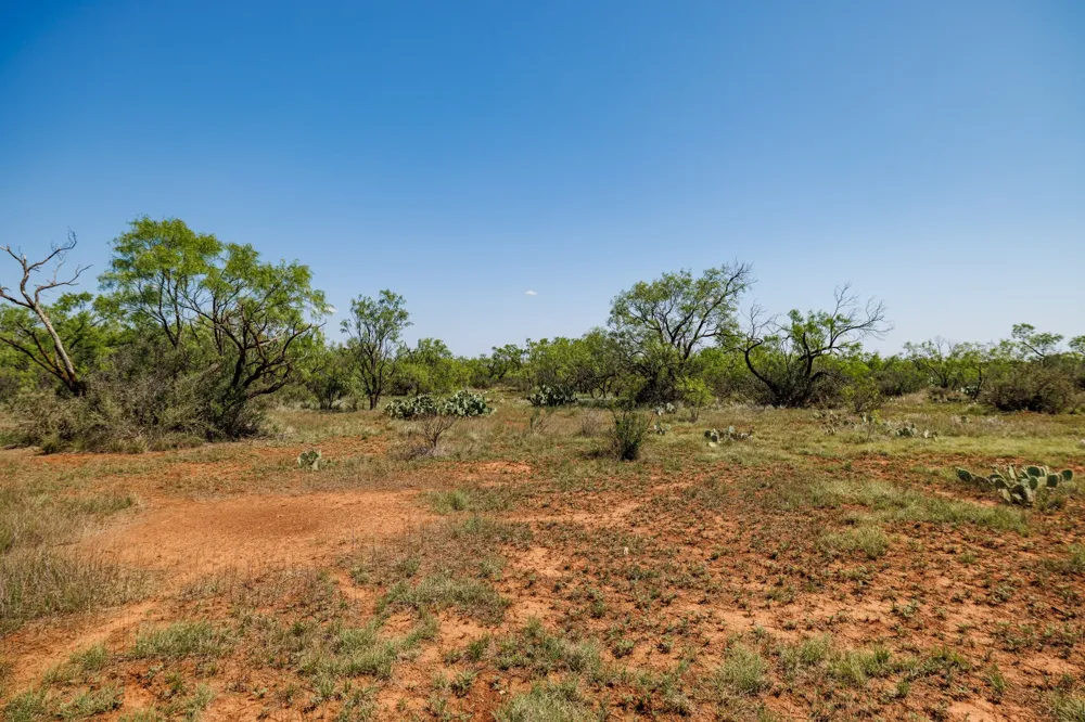 County Rd 161 Trent, TX 79561