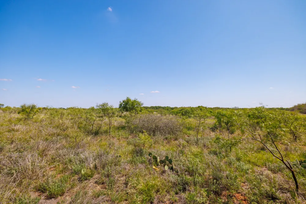 County Rd 161 Trent, TX 79561