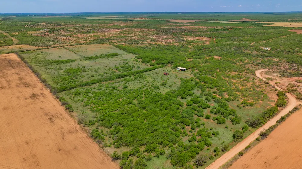 County Rd 161 Trent, TX 79561