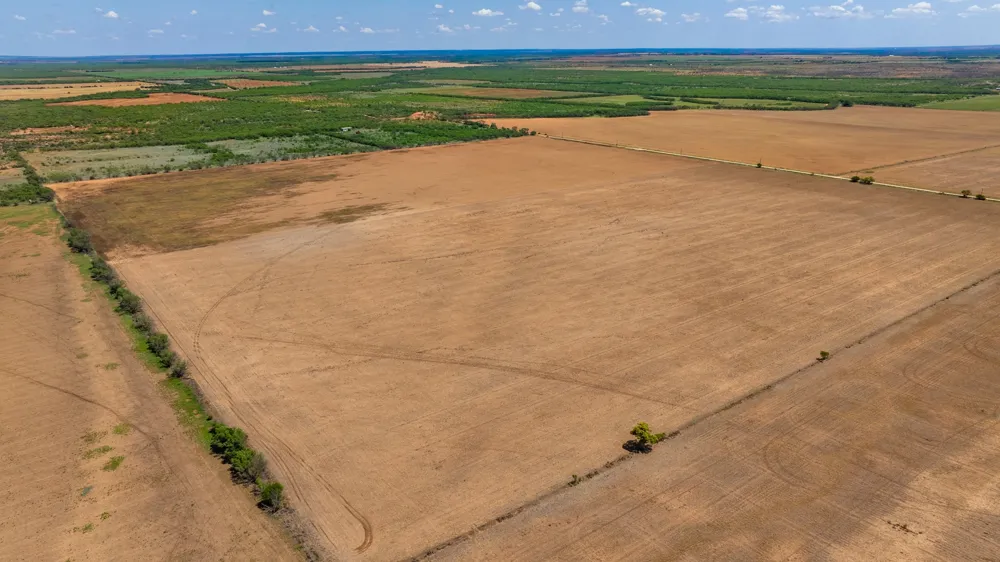 County Rd 161 Trent, TX 79561