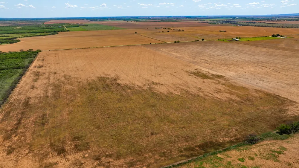 County Rd 161 Trent, TX 79561