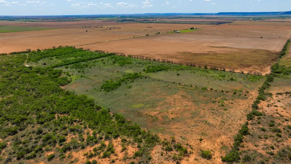 County Rd 161 Trent, TX 79561