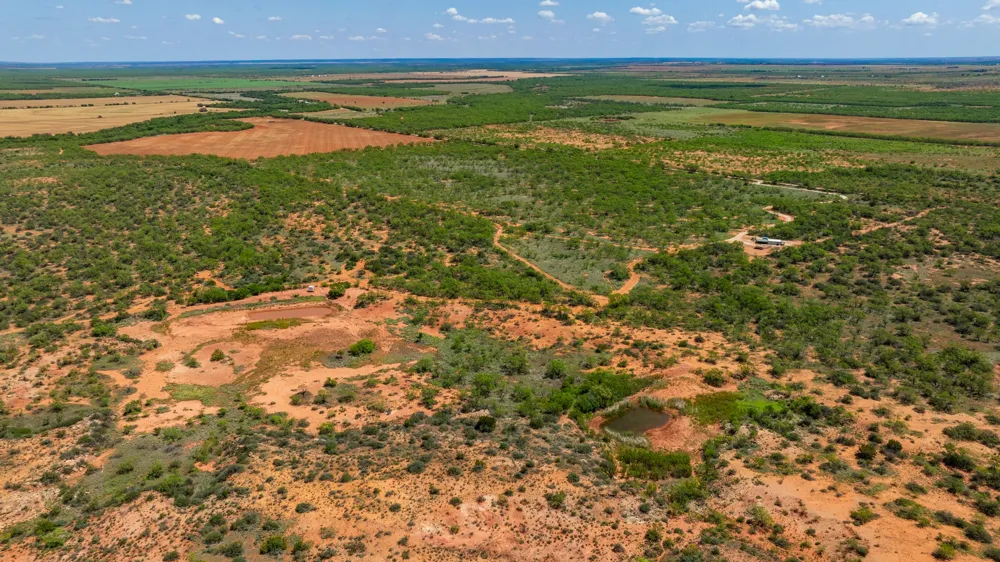 County Rd 161 Trent, TX 79561