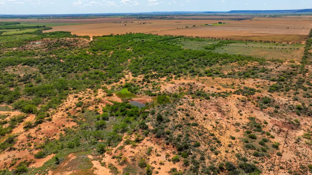 County Rd 161 Trent, TX 79561