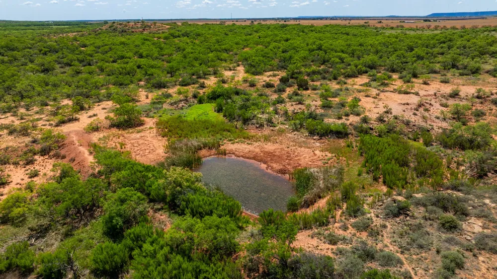 County Rd 161 Trent, TX 79561