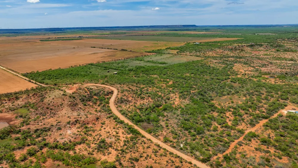 County Rd 161 Trent, TX 79561