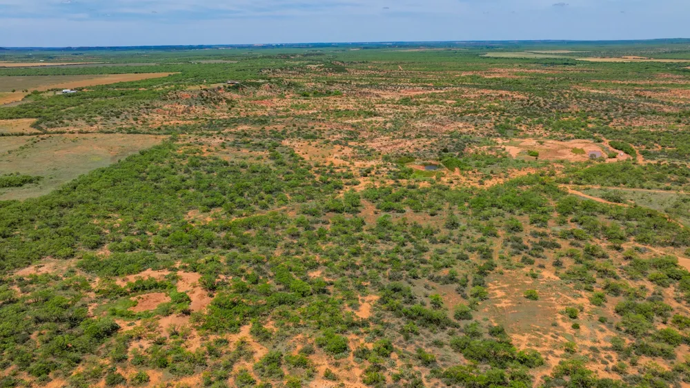 County Rd 161 Trent, TX 79561