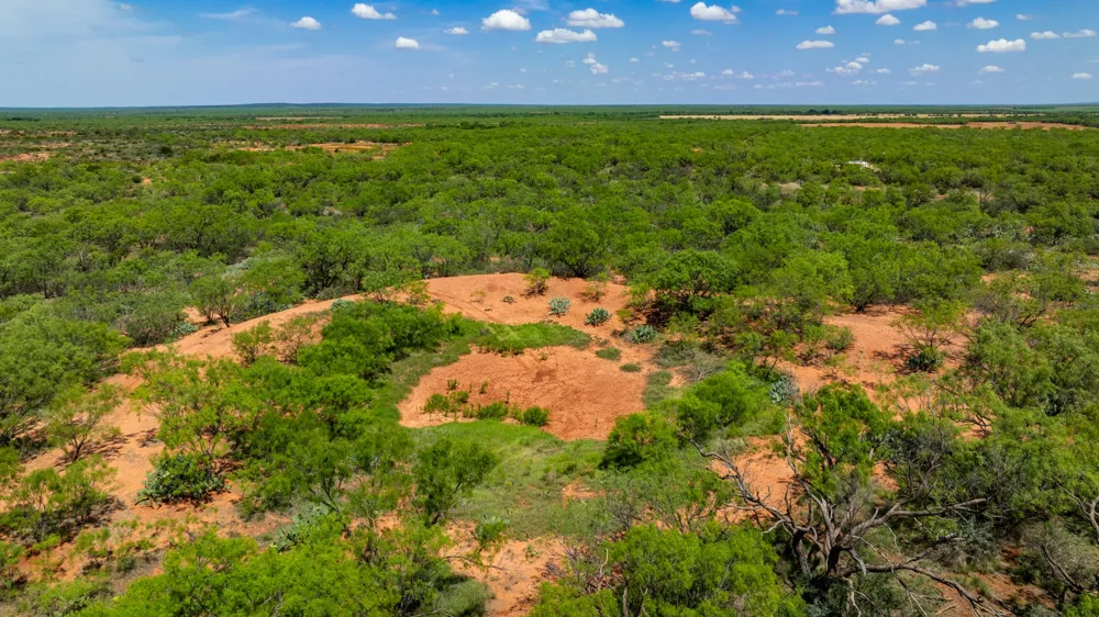 County Rd 161 Trent, TX 79561