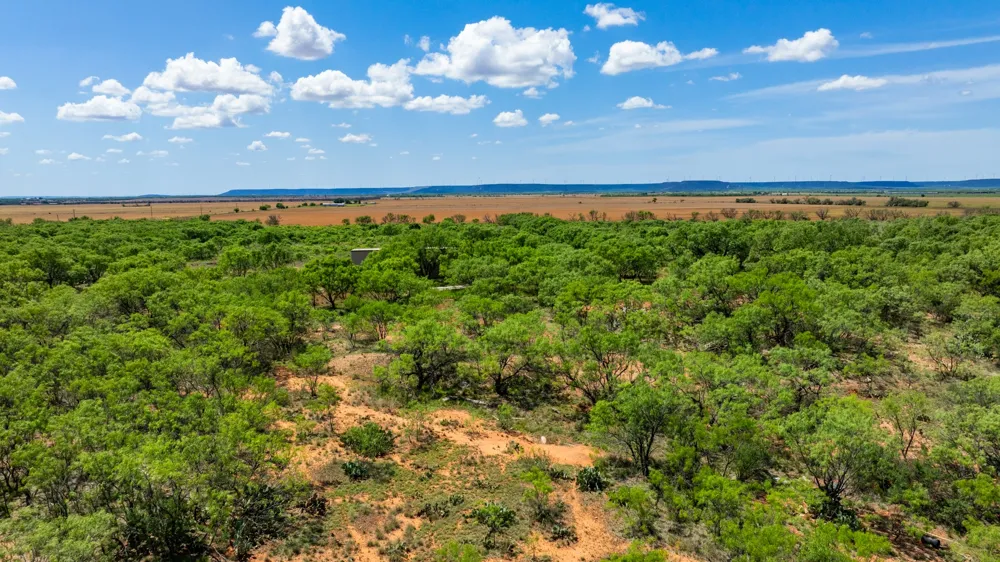 County Rd 161 Trent, TX 79561