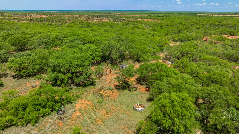 County Rd 161 Trent, TX 79561