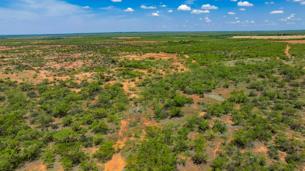 County Rd 161 Trent, TX 79561