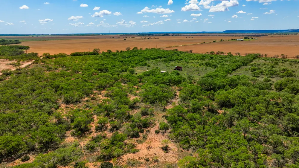 County Rd 161 Trent, TX 79561