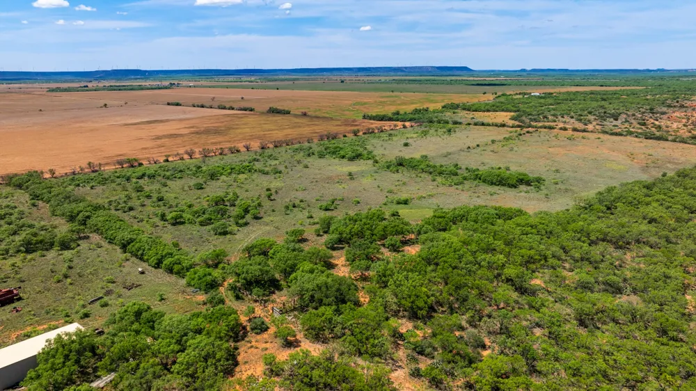 County Rd 161 Trent, TX 79561
