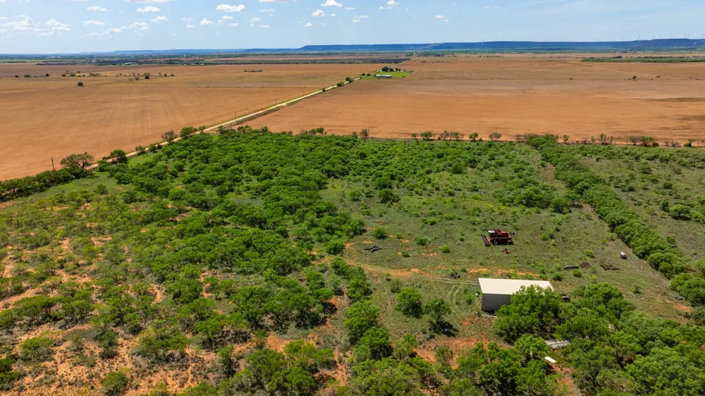 County Rd 161 Trent, TX 79561
