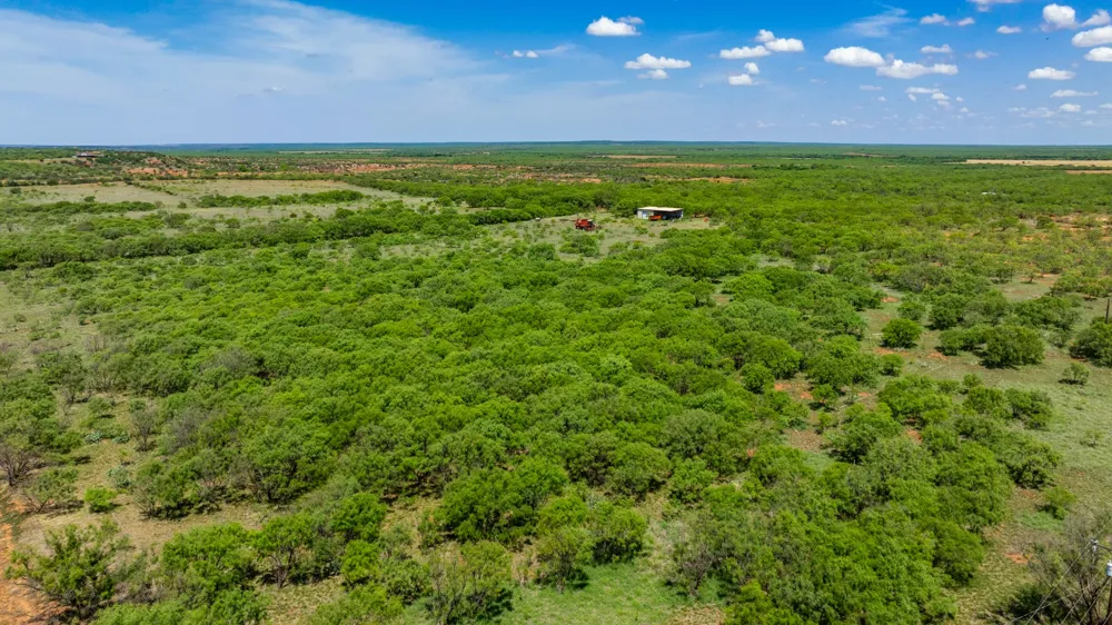 County Rd 161 Trent, TX 79561