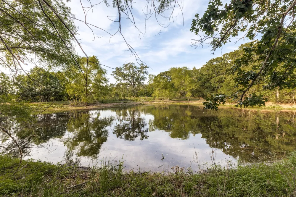1955 County Road 2980 Windom, TX 75492