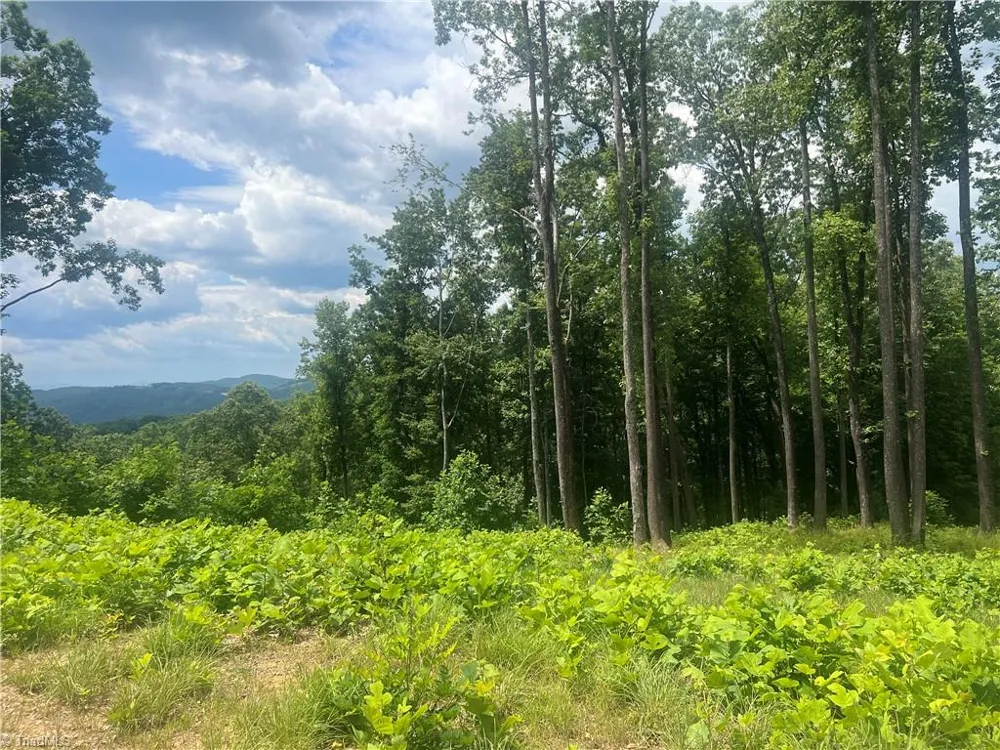TBD Wilderness Road Hays, NC 28635