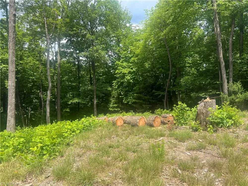 TBD Wilderness Road Hays, NC 28635