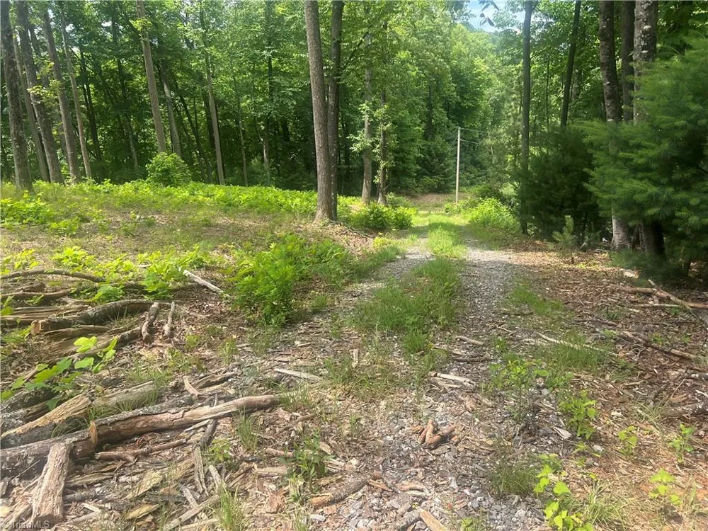 TBD Wilderness Road Hays, NC 28635