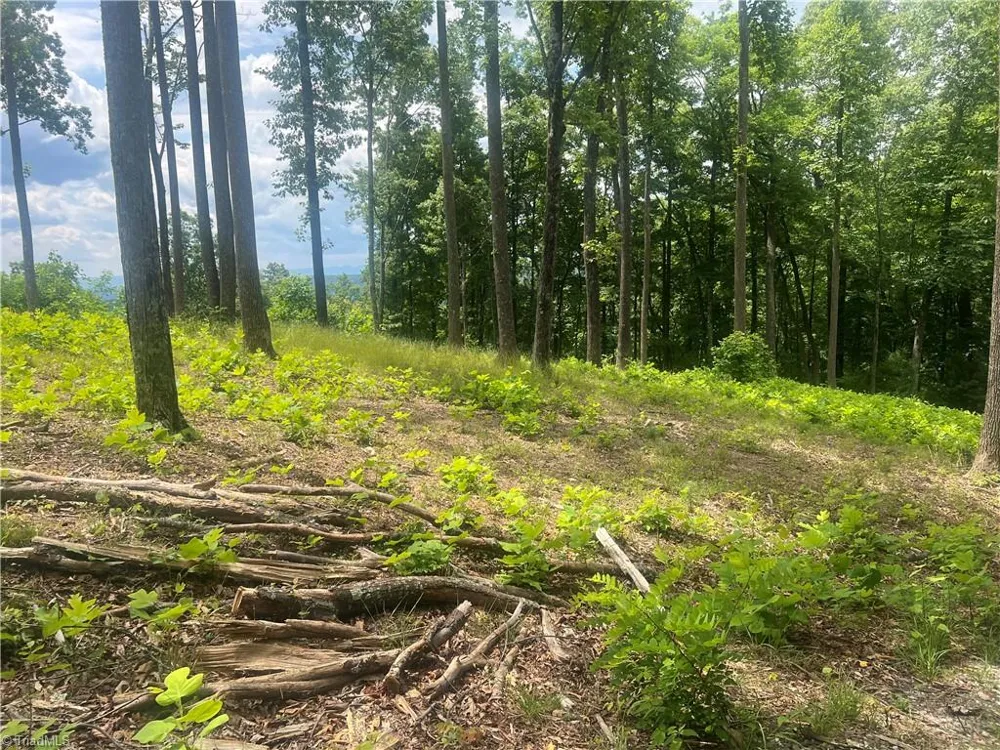 TBD Wilderness Road Hays, NC 28635