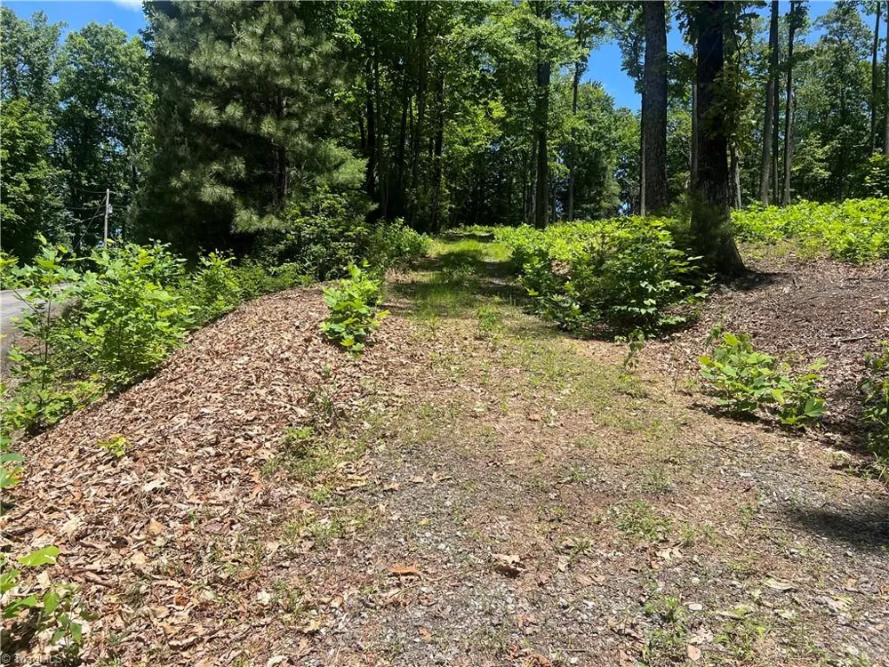 TBD Wilderness Road Hays, NC 28635